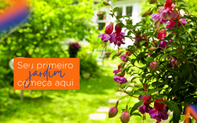 Seu primeiro jardim começa aqui: dicas de jardinagem para iniciantes